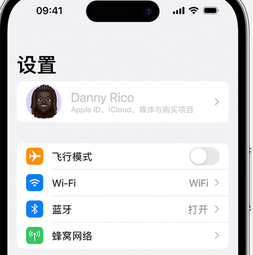 排湖风景区appleID维修服务iPhone设置中Apple ID显示为灰色无法使用 