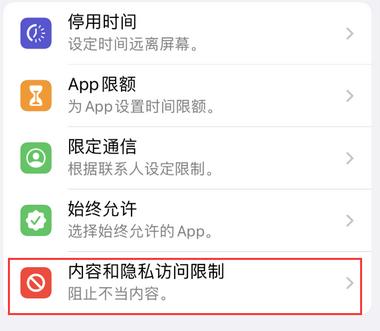 排湖风景区appleID维修服务iPhone设置中Apple ID显示为灰色无法使用