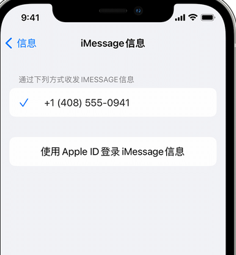 排湖风景区apple维修iPhone上无法正常发送iMessage信息 