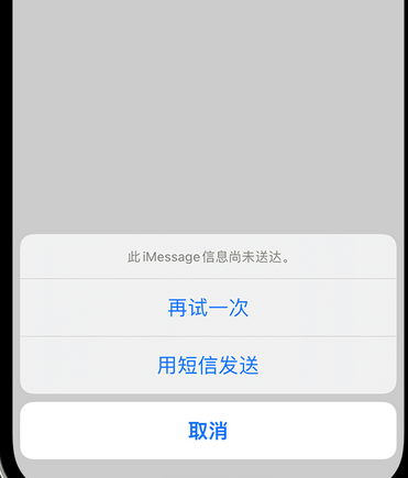 排湖风景区apple维修iPhone上无法正常发送iMessage信息