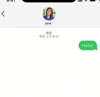 排湖风景区apple维修iPhone上无法正常发送iMessage信息