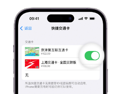 排湖风景区apple维修点分享iPhone上更换Apple Pay快捷交通卡手绘卡面 