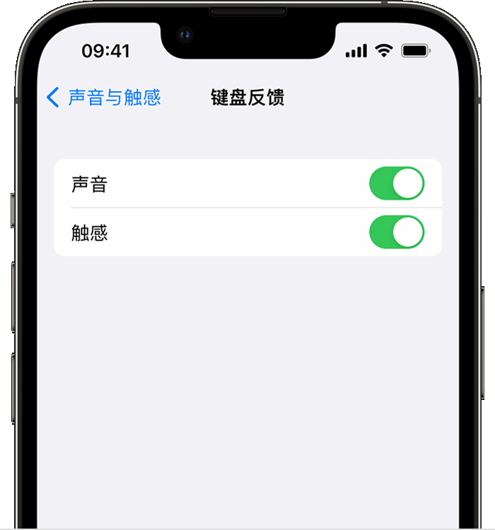 排湖风景区苹果14维修店分享如何在 iPhone 14 机型中使用触感键盘 