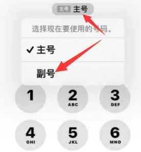 排湖风景区苹果14维修店分享iPhone 14 Pro Max使用副卡打电话的方法 