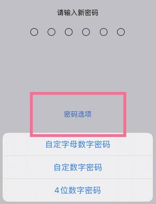 排湖风景区苹果14维修分享iPhone 14plus设置密码的方法 