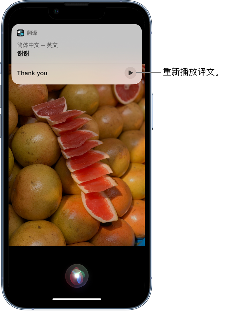 排湖风景区苹果14维修分享 iPhone 14 机型中使用 Siri：了解 Siri 能帮你做什么 