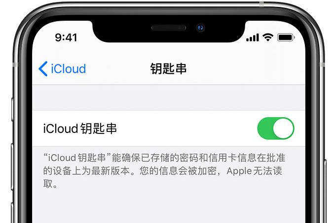 排湖风景区苹果手机维修分享在 iPhone 上开启 iCloud 钥匙串之后会储存哪些信息 