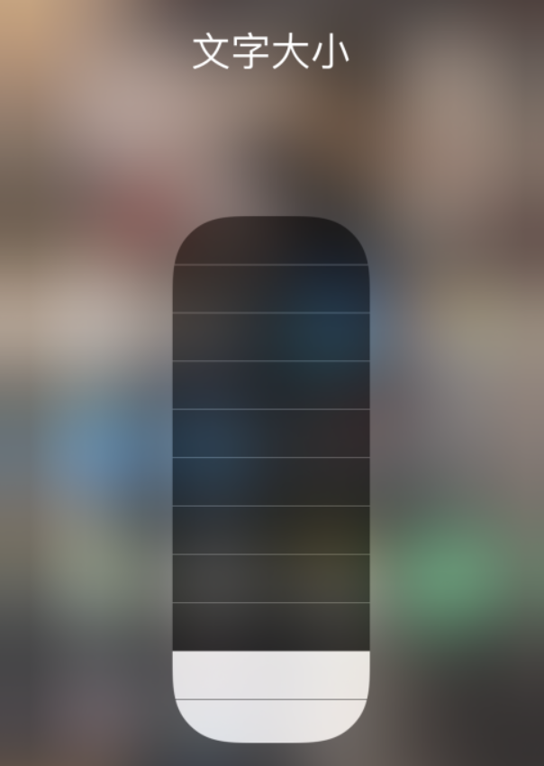 排湖风景区苹果手机维修分享小技巧：在 iPhone 控制中心快速调节字体大小 